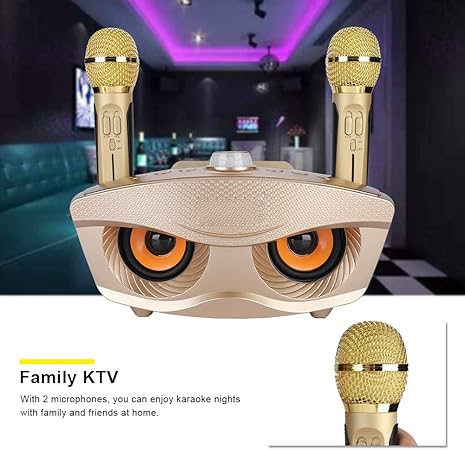 Dual Wireless Microphone Bluetooth Karaoke Speaker Set | Portable Karaoke System for Home, Parties, and Events