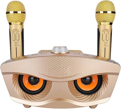Dual Wireless Microphone Bluetooth Karaoke Speaker Set | Portable Karaoke System for Home, Parties, and Events
