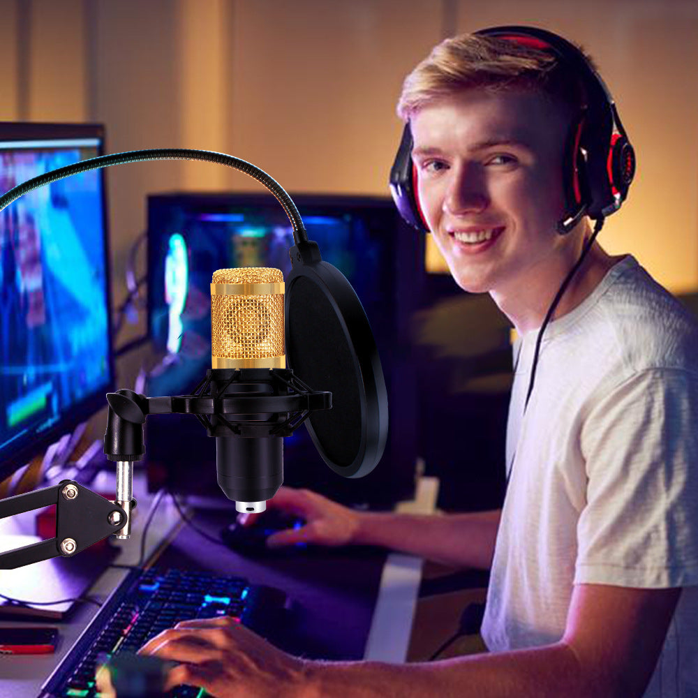 BM800 Condenser Microphone Kit - Professional Studio Recording & Live Stream Bundle with V8S Sound Card & Full Accessories