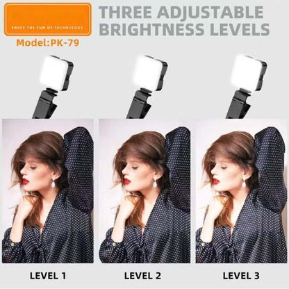 PK79 Mini LED Video Light - 6000K Dimmable 5.5W Fill Lamp with Universal Mount for DSLR, Phone & Laptop