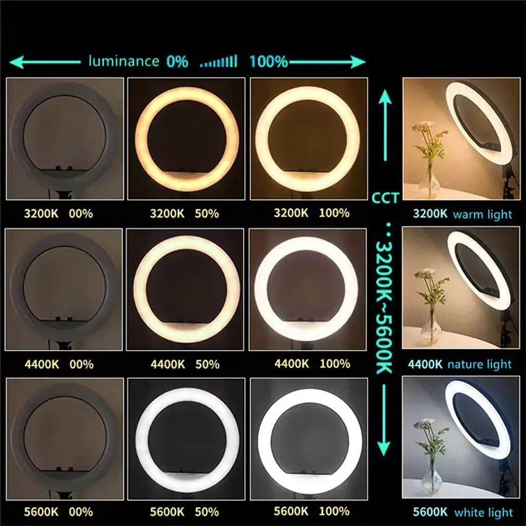 21-Inch Selfie Ring Light with Tripod Stand – Adjustable Photographic Lamp with 3 Mobile Holders