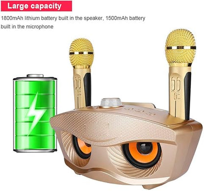 Dual Wireless Microphone Bluetooth Karaoke Speaker Set | Portable Karaoke System for Home, Parties, and Events