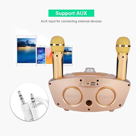 Dual Wireless Microphone Bluetooth Karaoke Speaker Set | Portable Karaoke System for Home, Parties, and Events
